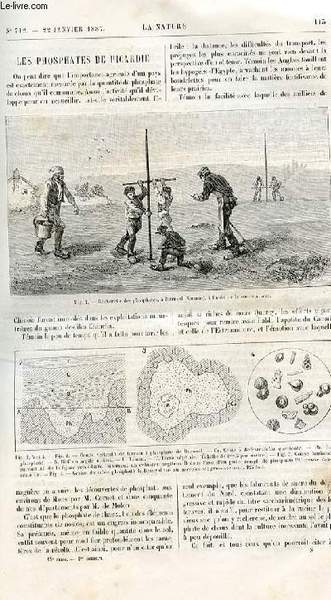 La nature n° 712 - Les phosphates de Picardie par …