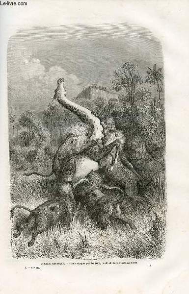 Le tour du monde - nouveau journal des voyages - …