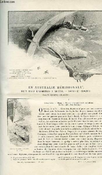 Le tour du monde - journal des voyages - nouvelle …