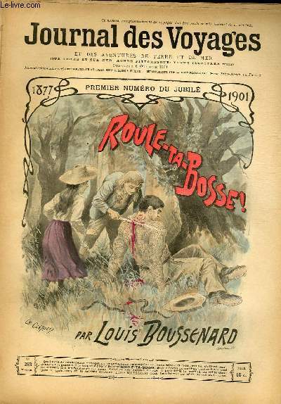 Journal des voyages et des aventures de terre et de …