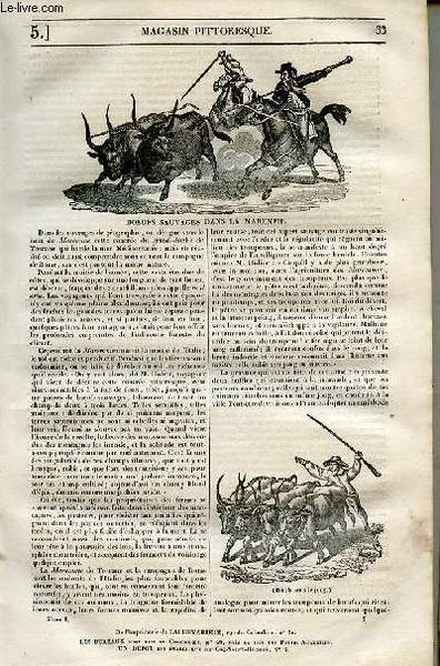 LE MAGASIN PITTORESQUE - Livraison n°0005 - Boeufs sauvages dans …