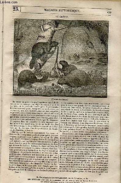 LE MAGASIN PITTORESQUE - Livraison n°0023 - Le castor.