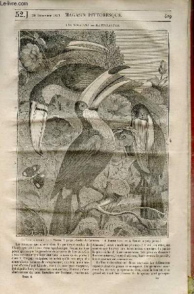 LE MAGASIN PITTORESQUE - Livraison n°0052 - Les toucans - …