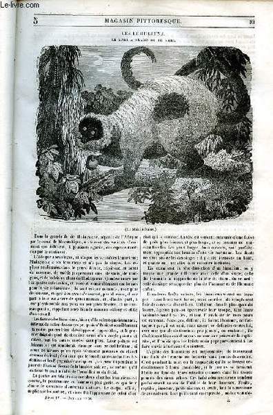 LE MAGASIN PITTORESQUE - Livraison n°005 - Les lémuriens - …