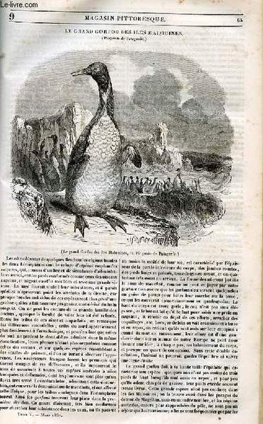 LE MAGASIN PITTORESQUE - Livraison n°009 - Le grnad gorfou …