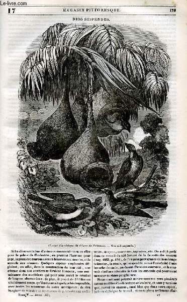 LE MAGASIN PITTORESQUE - Livraison n°017 - Nids suspendus.