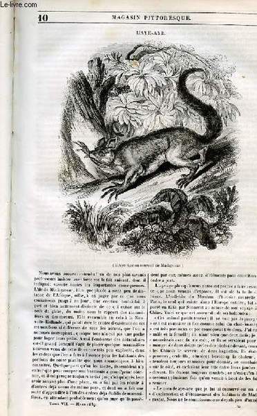 LE MAGASIN PITTORESQUE - Livraison n°010 - L'aye - aye.