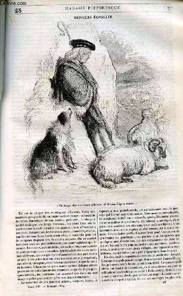 LE MAGASIN PITTORESQUE - Livraison n°028 - Bergers écossais.
