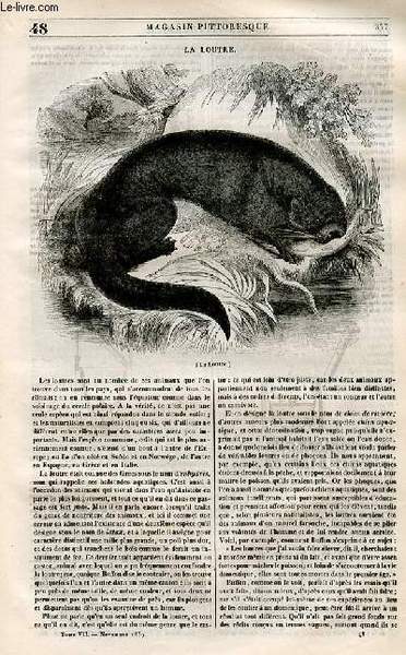 LE MAGASIN PITTORESQUE - Livraison n°048 - La loutre.
