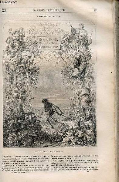 LE MAGASIN PITTORESQUE - Livraison n°033 - L'eternel travailleur.