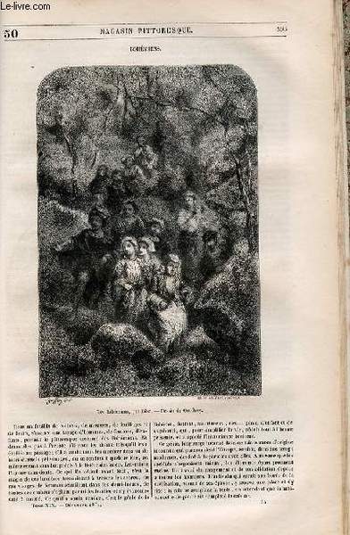 LE MAGASIN PITTORESQUE - Livraison n°050 - Bohémiens.