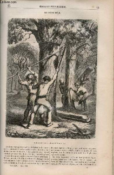LE MAGASIN PITTORESQUE - Livraison n°013 - Le chêne liège.
