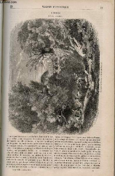 LE MAGASIN PITTORESQUE - Livraison n°010 - L'ariccia (états romains).