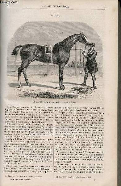 LE MAGASIN PITTORESQUE - Livraison n°004 - Eclipse, cheval de …