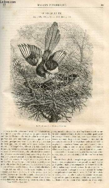 LE MAGASIN PITTORESQUE - Livraison n°012 - Le nid de …