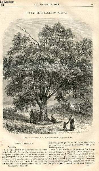 LE MAGASIN PITTORESQUE - Livraison n°012 - Sur els formes …