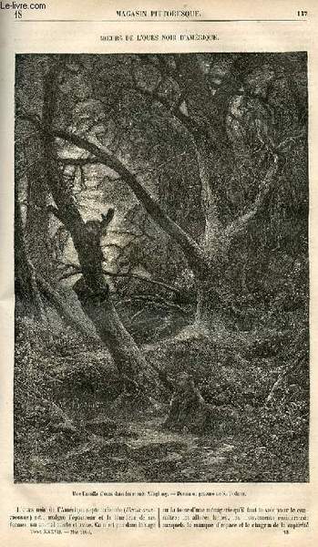 LE MAGASIN PITTORESQUE - Livraison n°018 - Moeurs de l'ours …