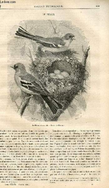 LE MAGASIN PITTORESQUE - Livraison n°041 - Le pinson.