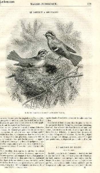 LE MAGASIN PITTORESQUE - Livraison n°042 - Le roitelet à …
