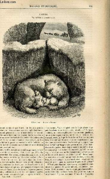 LE MAGASIN PITTORESQUE - Livraison n°34 - L'ours.