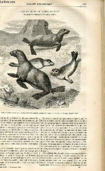 LE MAGASIN PITTORESQUE - Livraison n°48 - Les otaries ou …