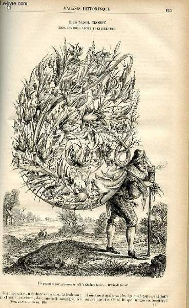 LE MAGASIN PITTORESQUE - Livraison n°14 - L'espagnol trompé dans …