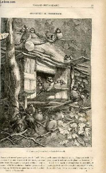 LE MAGASIN PITTORESQUE - Livraison n°05 - Changement de propriétaire.