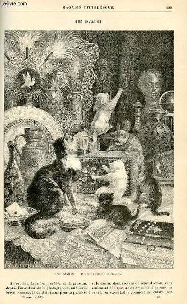 LE MAGASIN PITTORESQUE - Livraison n°13 - Une invasion.