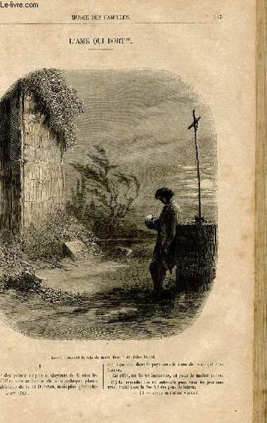 Le musée des familles - lecture du soir - livraison …