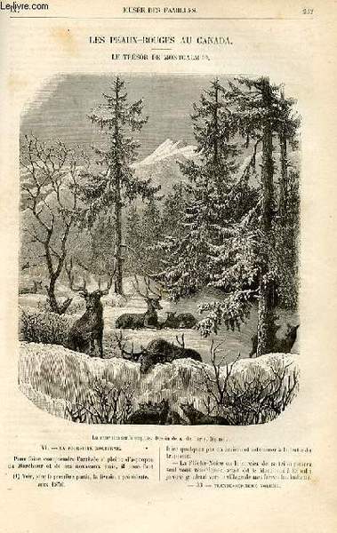 Le musée des familles - lecture du soir - livraisons …