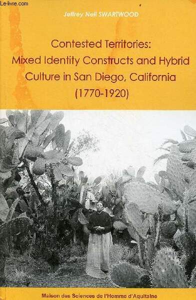 Contested territories : Mixed identity constructs and hybrid culture in …