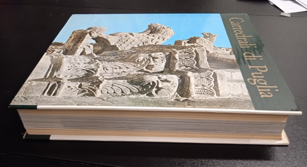 Cattedrali di Puglia.