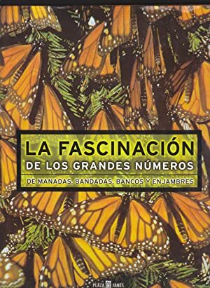 FASCINACIÓN DE LOS GRANDES NÚMEROS