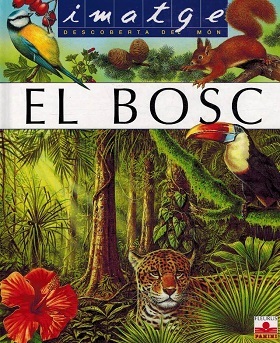 IMATGE DESCOBERTA DEL MON. EL BOSC