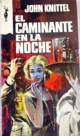 EL CAMINANTE EN LA NOCHE