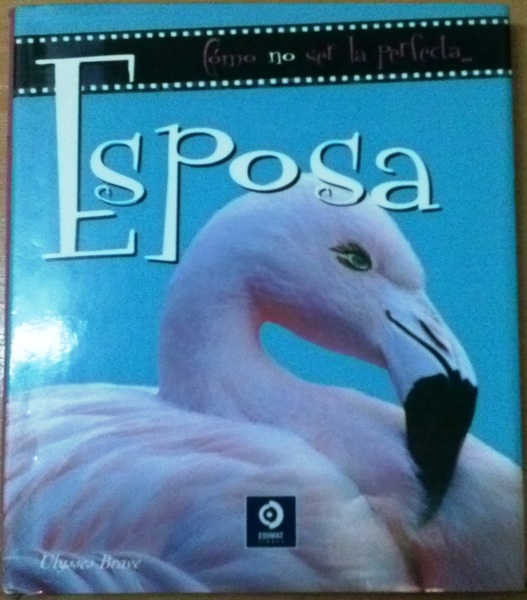 COMO NO SER LA ESPOSA PERFECTA