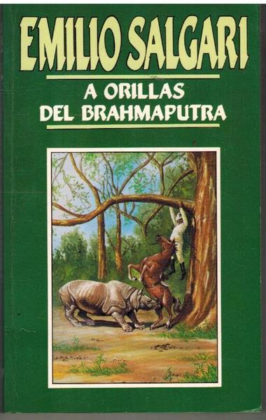 A ORILLAS DEL BRAHMAPUTRA