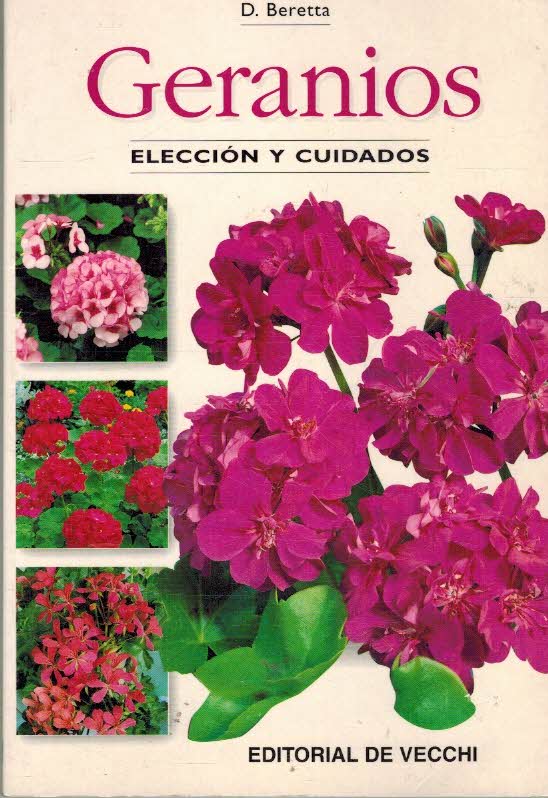 GERANIOS. ELECCION Y CUIDADOS