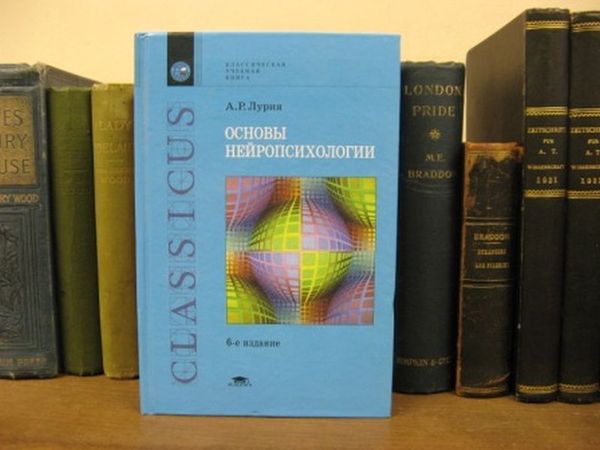 Osnovy Neiropsihologii: Uchebnoe Posobie Dlya Studentov Vysshikh Uchebnykh Zavedeniy