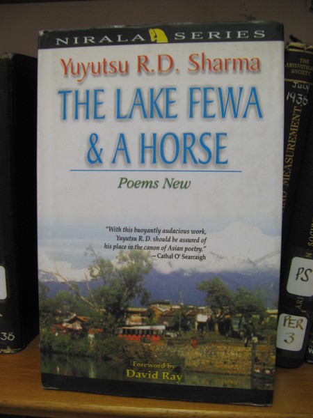 The Lake Fewa and a Horse