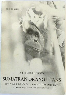 A Fieldstudy on Sumatran Orang Utans; (Ponfo Pygmaeus Abelii Lesson …