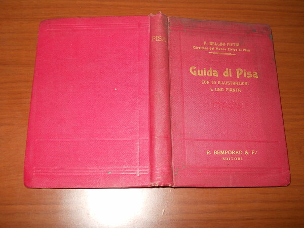 Guida di Pisa con 53 illustrazioni e una pianta