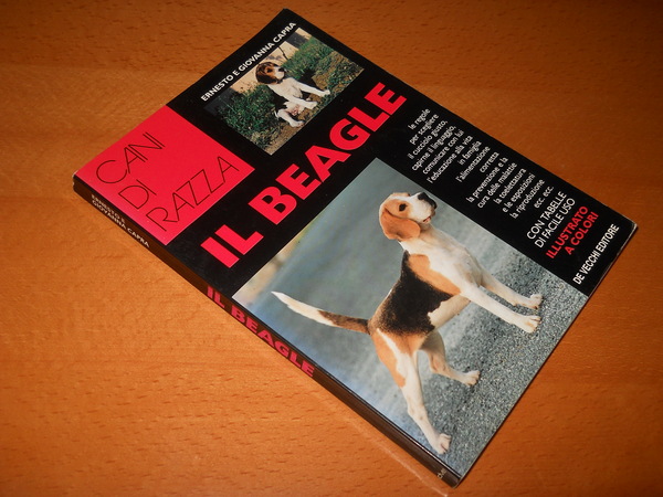 Il Beagle. Cani di razza