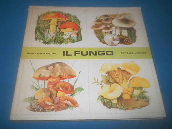 Il fungo