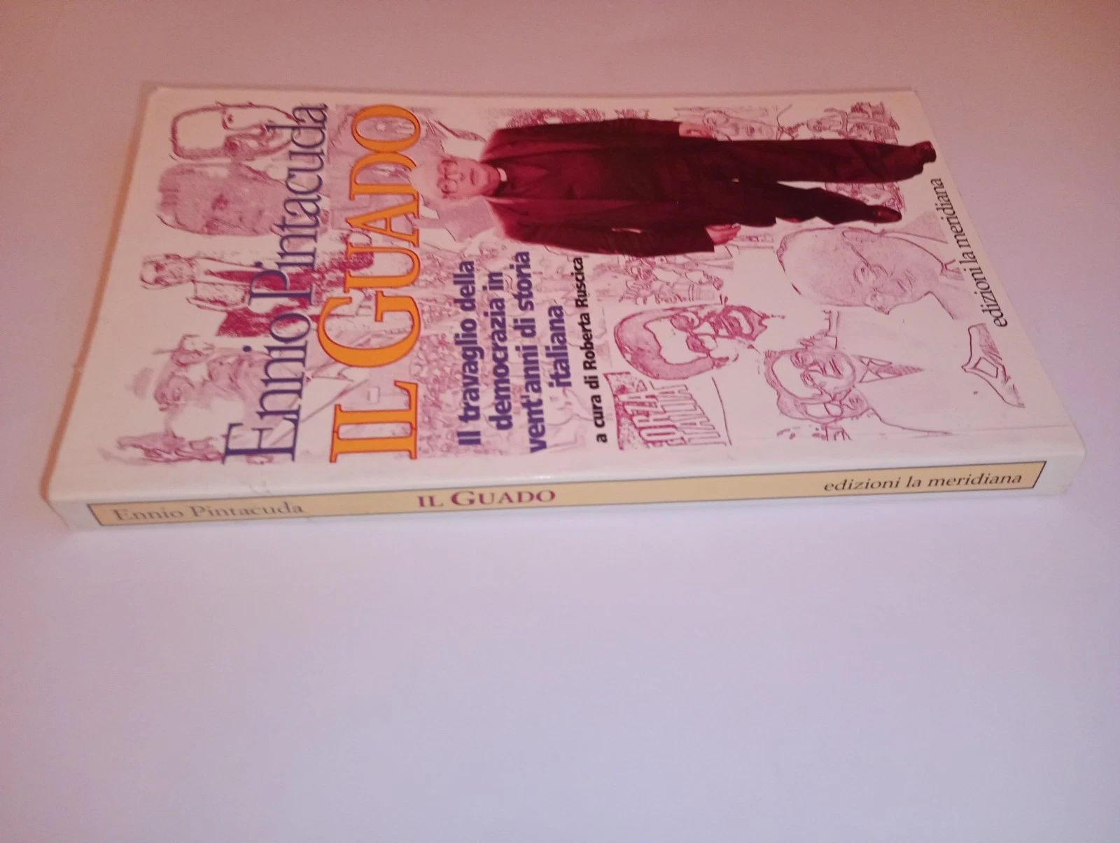 Il guado. Il travaglio della democrazia in 20 anni di …