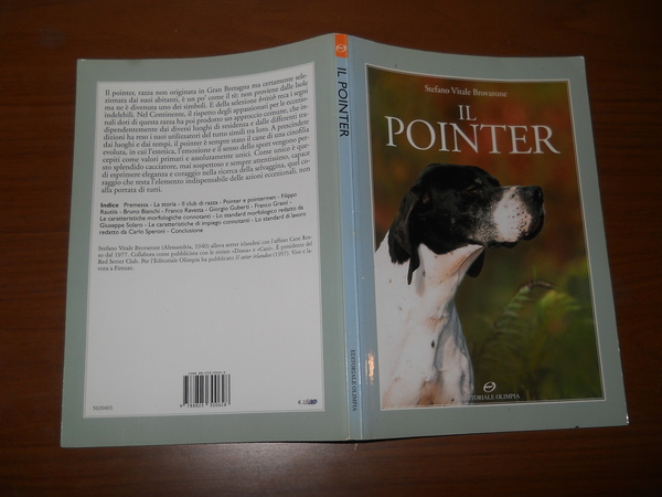 il pointer