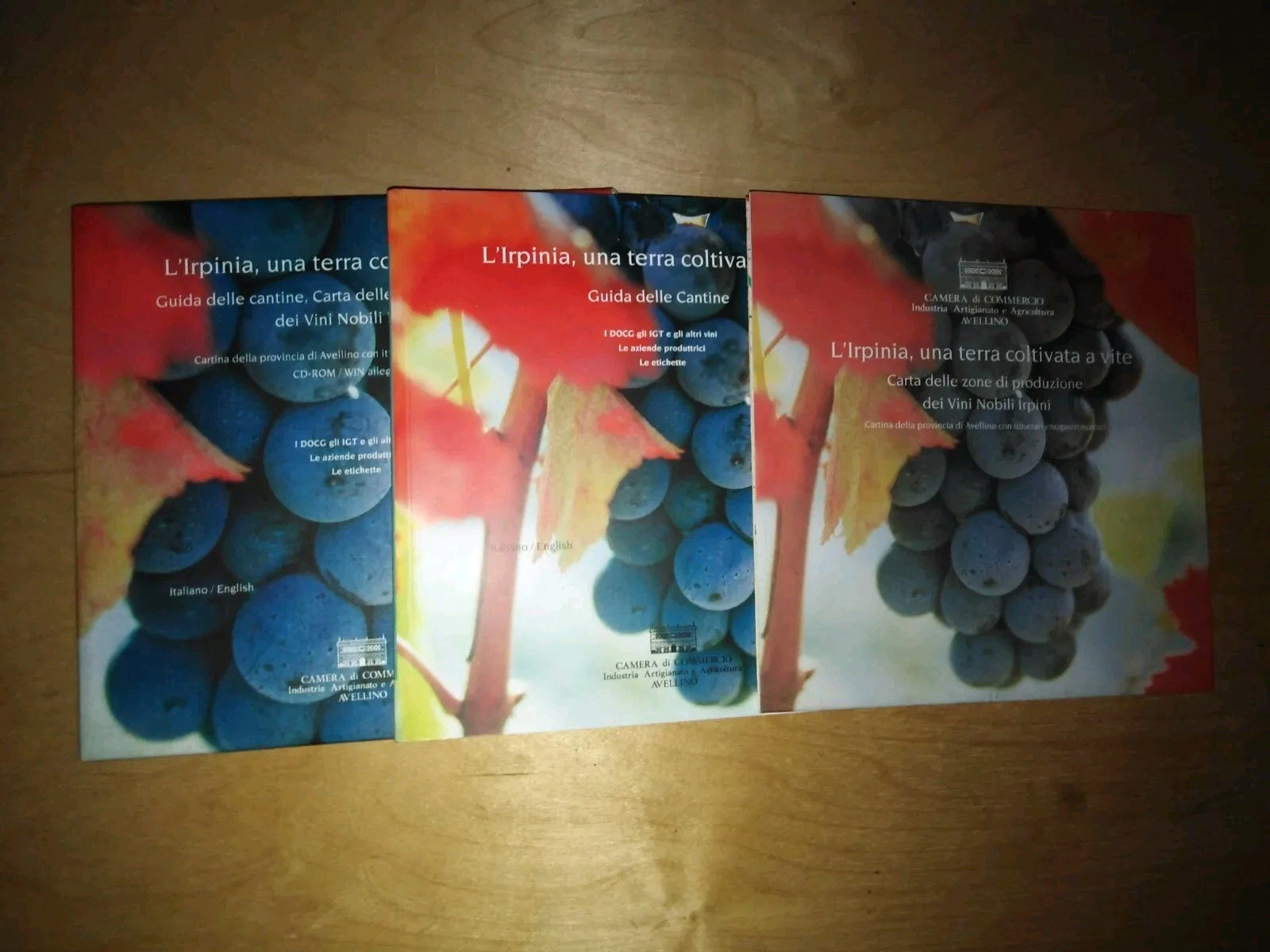 L'Irpinia. una terra coltivata a vite - guida cantine, carta …