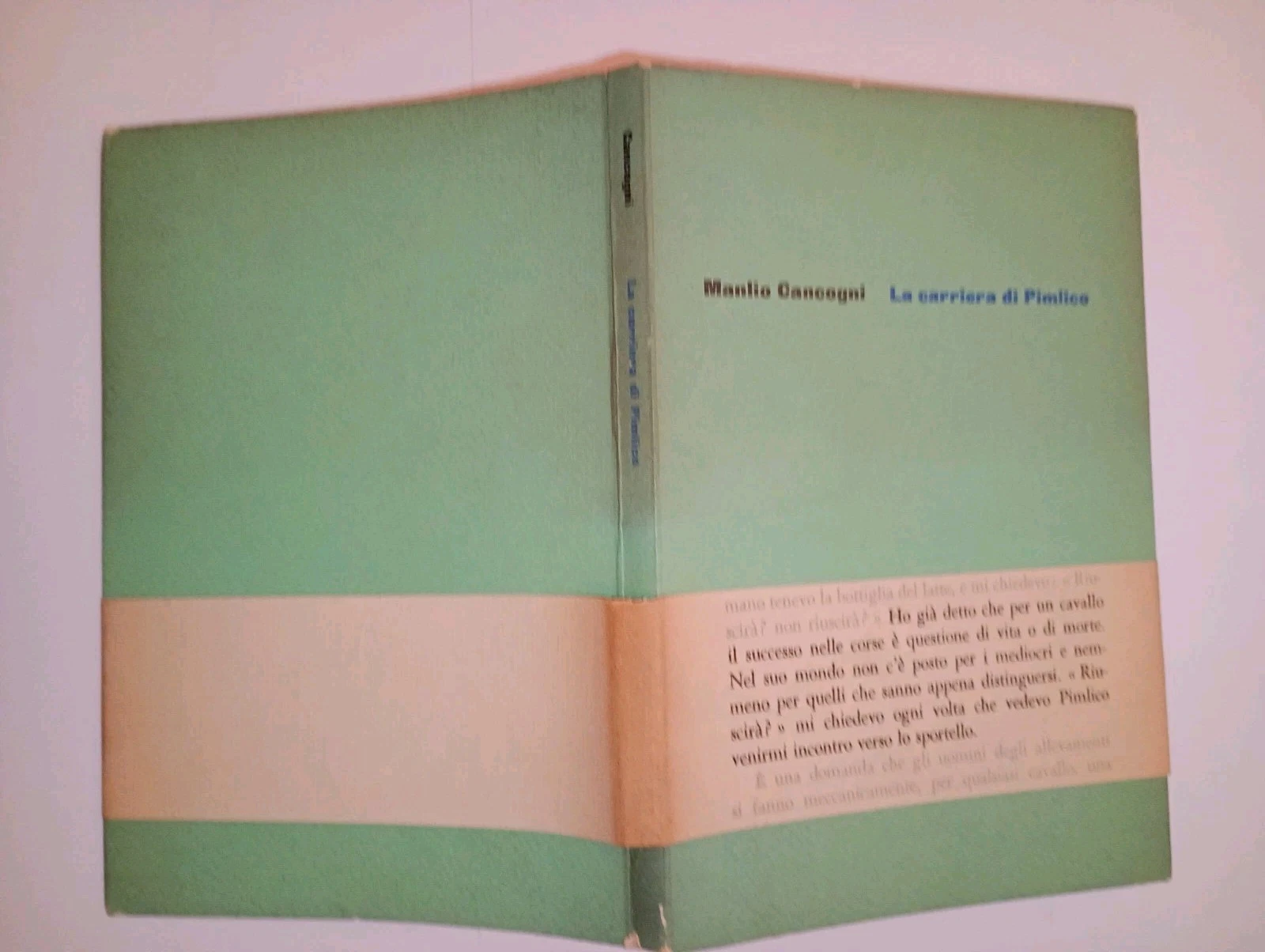 la carriera di Pimlico