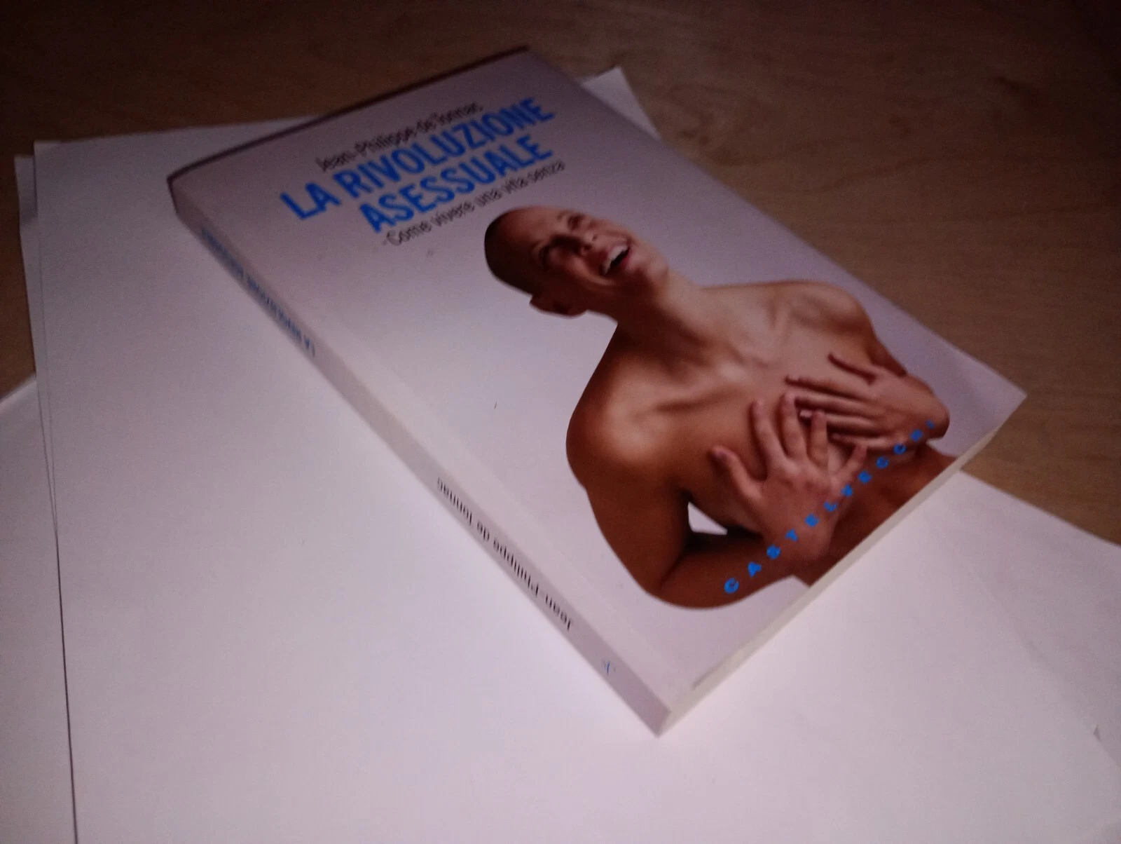 La rivoluzione asessuale. Come vivere una vita «senza»