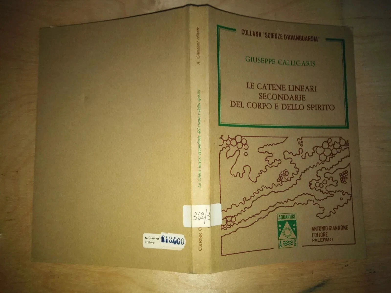 le catene lineari secondarie del corpo e dello spirito